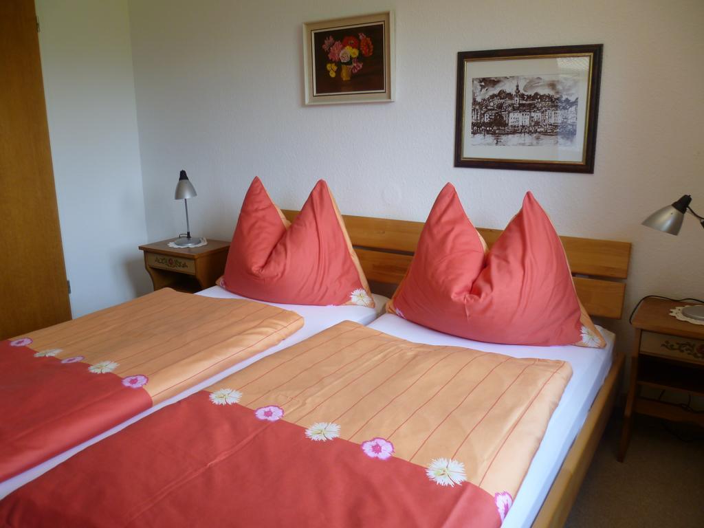 Haus Slechta Apartment Kitzbuhel Phòng bức ảnh